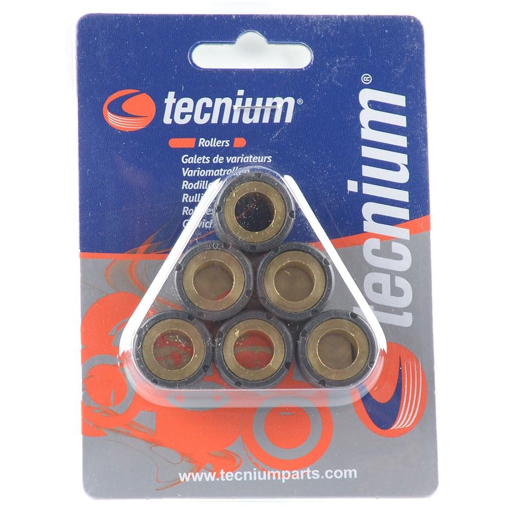 РОЛИКИ ВАРІАТОРА TECNIUM (VICMA) 16X13 9G 6 ШТ. (3926)